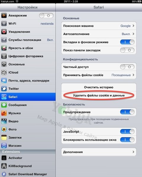 Приватный режим сафари ios 15